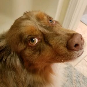 Meet your Posher, Brianna